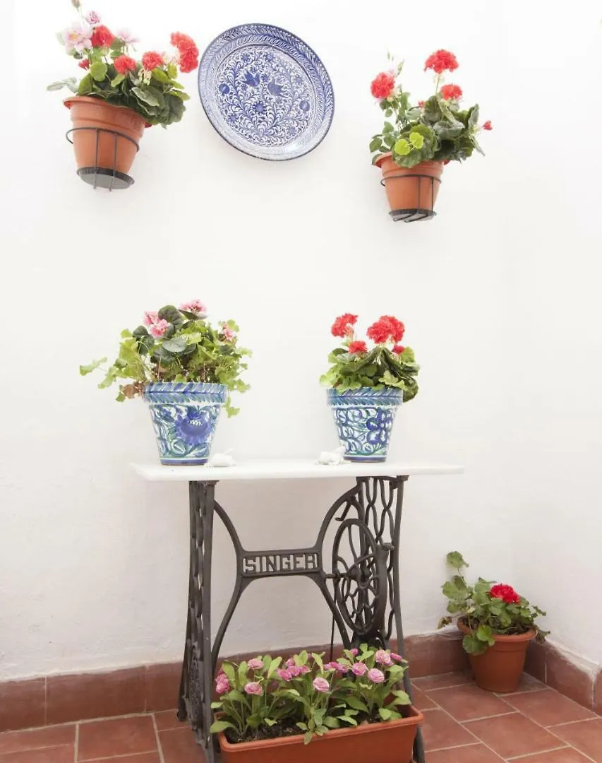 Malaga Center Flat Comedias Street